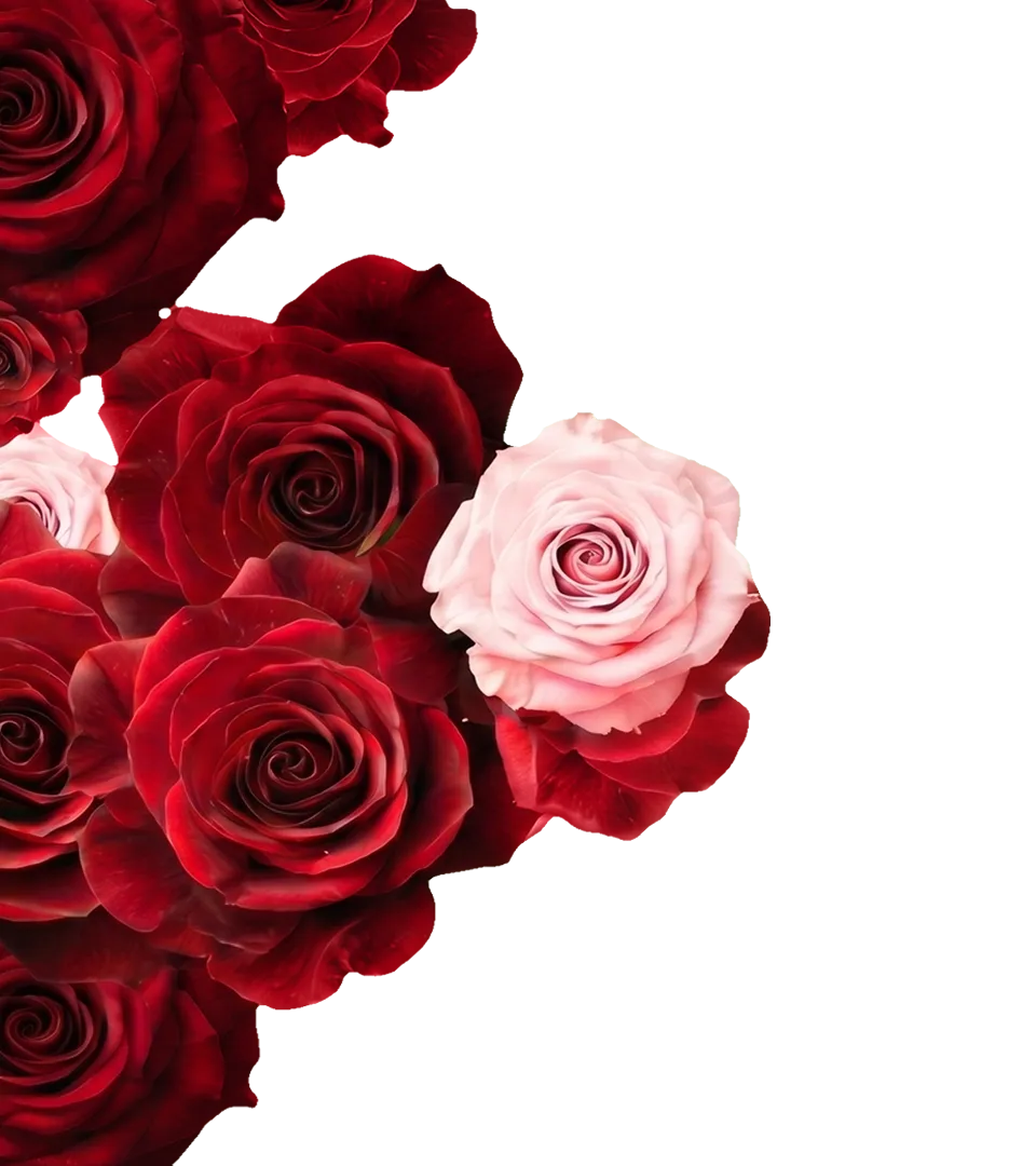 Rosas izquierda